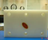 耐磨PE-UHMW板材生產(chǎn)廠家