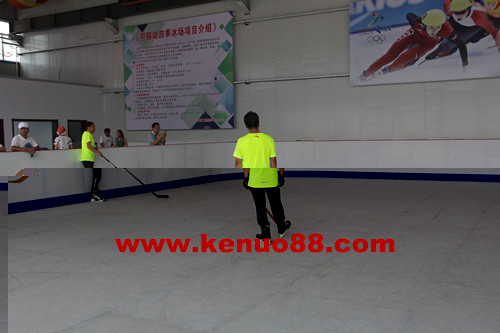 超高分子量聚乙烯仿真滑冰板